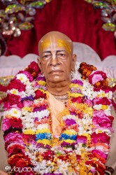 Daily Darshan