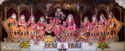 Daily Darshan