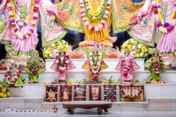 Daily Darshan