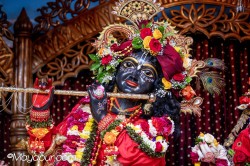 Daily Darshan