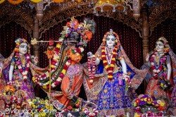 Daily Darshan