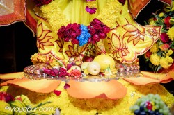 Daily Darshan