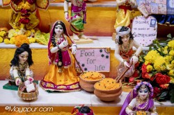 Daily Darshan