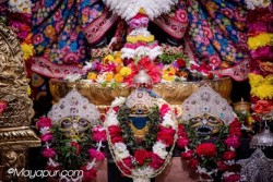 Daily Darshan