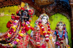 Daily Darshan