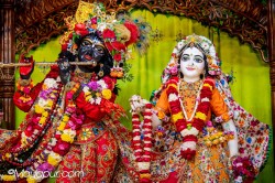 Daily Darshan