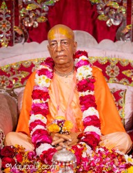 Daily Darshan