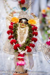 Daily Darshan