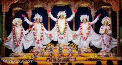 Daily Darshan