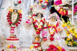 Daily Darshan