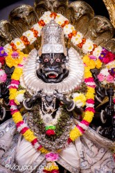 Daily Darshan