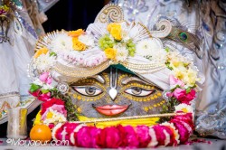 Daily Darshan