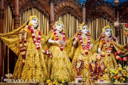 Daily Darshan