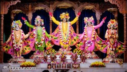 Daily Darshan