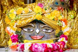 Daily Darshan