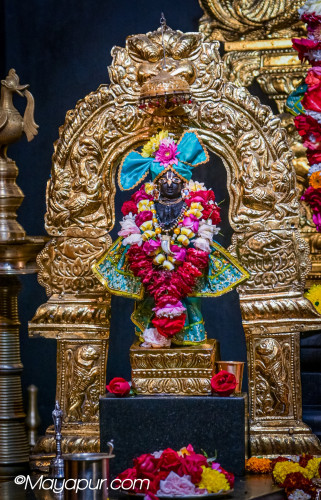 Daily Darshan