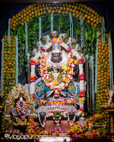 Daily Darshan