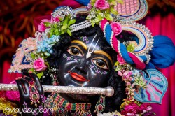 Daily Darshan
