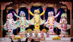 Daily Darshan