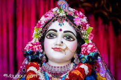 Daily Darshan