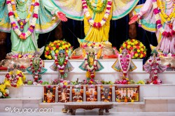 Daily Darshan