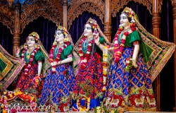 Daily Darshan