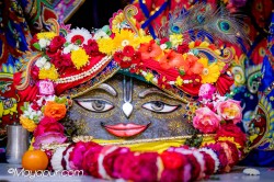 Daily Darshan