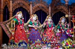 Daily Darshan