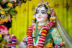 Daily Darshan