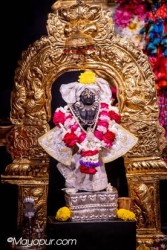 Daily Darshan