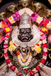 Daily Darshan