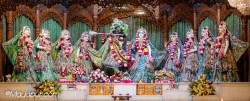 Daily Darshan