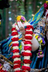 Daily Darshan