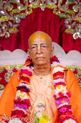 Daily Darshan