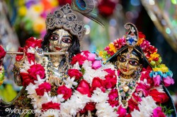 Daily Darshan