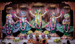 Daily Darshan