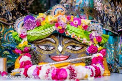 Daily Darshan