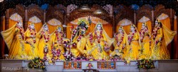 Daily Darshan
