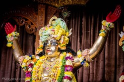 Daily Darshan