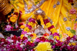 Daily Darshan