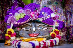 Daily Darshan