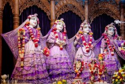 Daily Darshan