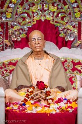 Daily Darshan