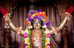 Daily Darshan