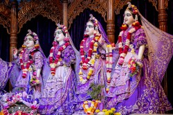 Daily Darshan