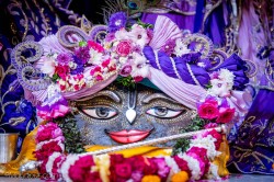Daily Darshan