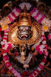 Daily Darshan