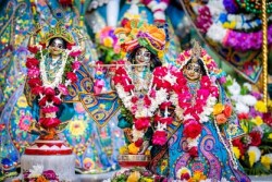 Daily Darshan