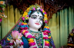 Daily Darshan
