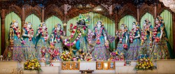 Daily Darshan